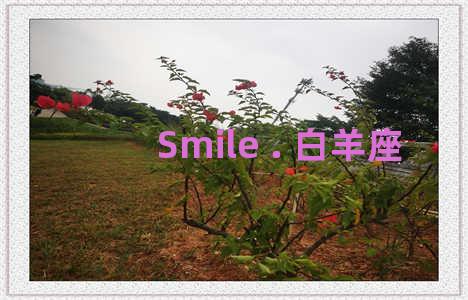 Smile . 白羊座